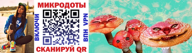 Псилоцибиновые грибы Cubensis  Бикин 